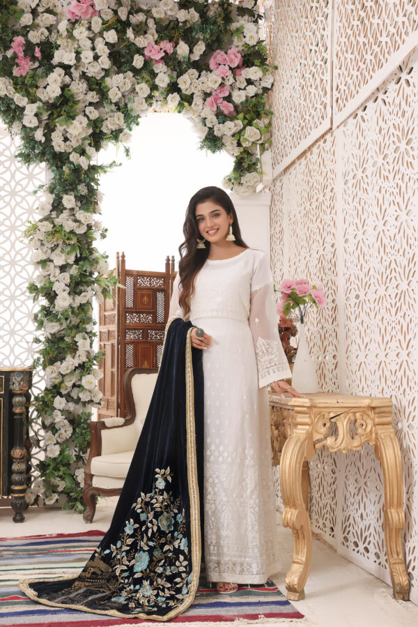 Hadiaeman Embroidered Velvet Collection 23'