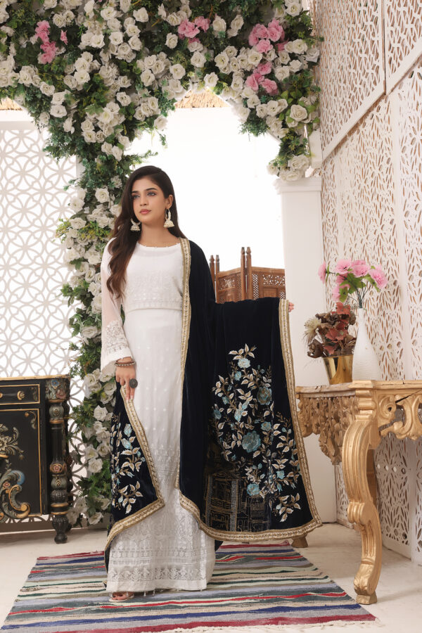Hadiaeman Embroidered Velvet Collection 23' - Image 3