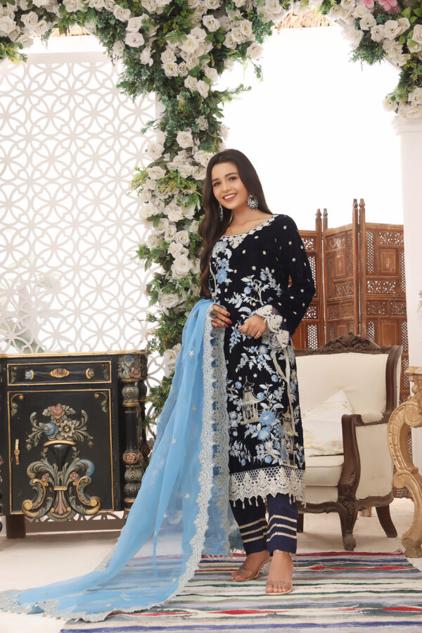 Hadiaeman Embroidered Velvet Collection 23'