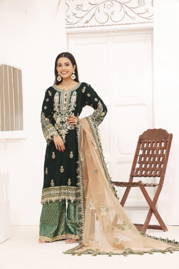 Hadiaeman Embroidered Velvet Collection 23'