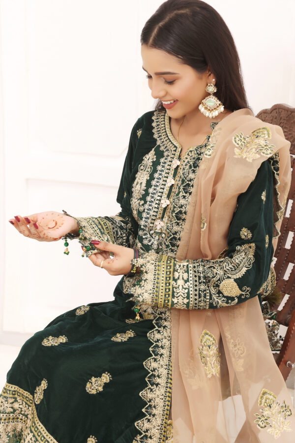 Hadiaeman Embroidered Velvet Collection 23' - Image 4