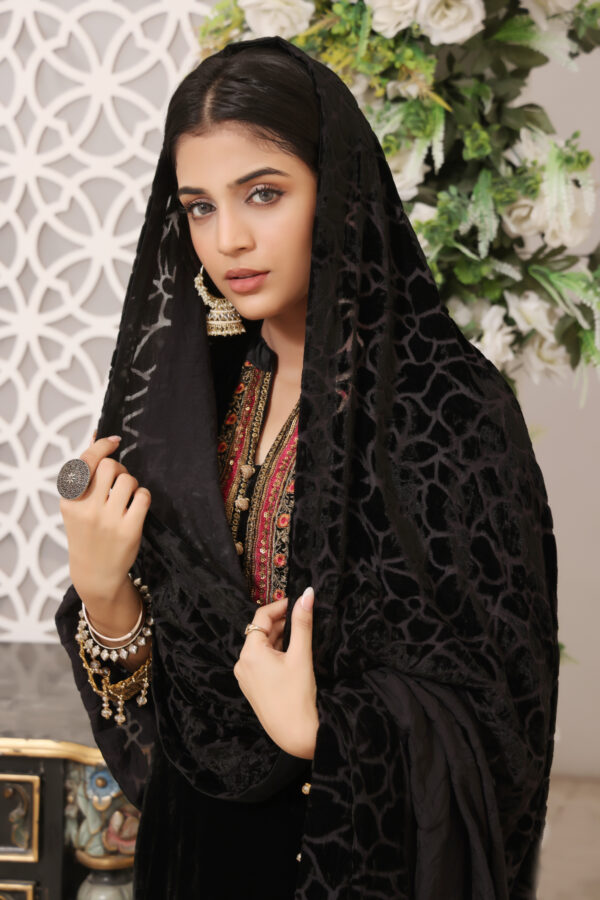 Hadiaeman Embroidered Velvet Collection 23' - Image 5