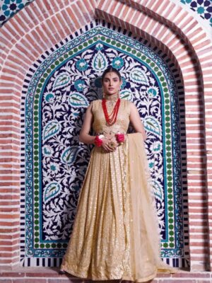 Gul E Mehnaz By HadiaEman Embroidered Chiffon Collection